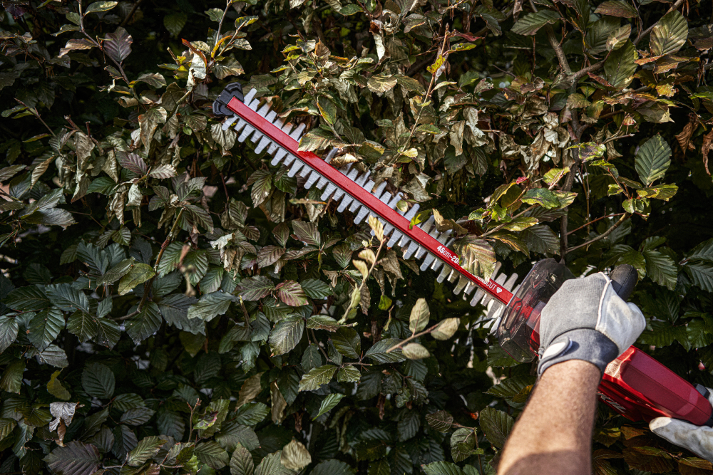Brushless cordless hedge cutter