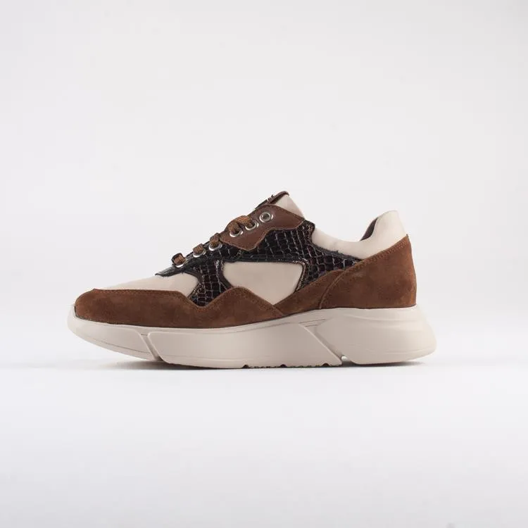 Footnotes 61.002 wijdte H