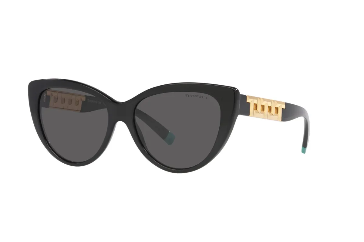 Zonnebril Tiffany TF 4196 (8001S4)